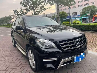 2014 Mercedes-Benz M-Class ML 320 4MATIC, фото 3, лот 10395769