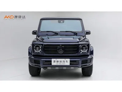 Mercedes-Benz G-Class, фото 2, лот 10807873