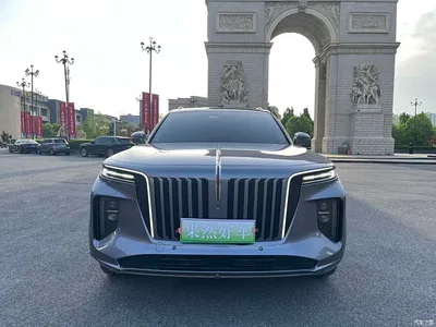 2021 Hongqi E-HS9 510km Flagship Comfort 6-seater, фото 2, лот 10288057