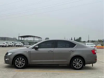 2017 Škoda Octavia 1.6L Automatic Pioneer Edition, фото 3, лот 11007120