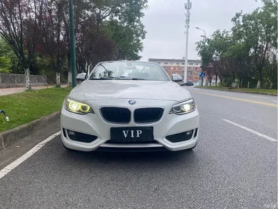 2015 BMW 2 Series (Import) 218i Convertible Coupe, фото 2, лот 11249135