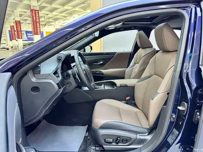 2022 Lexus ES 300h Excellence Edition, фото 3, лот 10312595