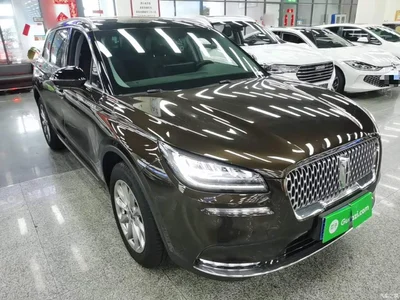 2020 Lincoln Adventurer 2.0T 2WD Premium Enjoyment Edition, фото 4, лот 10357542