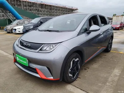 2021 BYD Dolphin Model 405km Fashion Edition, фото 2, лот 11203121
