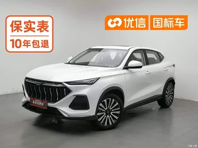 2021 Changan Oshan Changan Oushang X5 1.5T DCT Premium, фото 1, лот 11211455