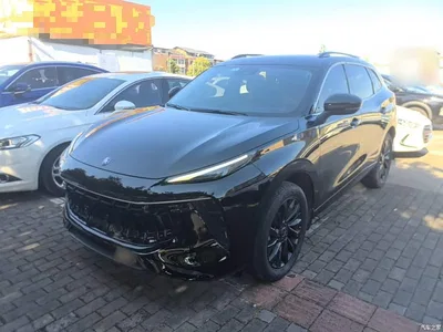 2021 Dongfeng Fengxing T5 EVO 1.5TD DCT Diamond Edition, фото 2, лот 11158988