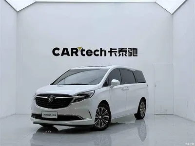 2020 Buick GL8 Model ES Landglory 653T Luxury, фото 1, лот 10335480