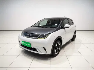 2021 BYD Dolphin Model 405km Fashion Edition, фото 2, лот 10390474