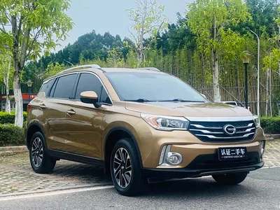 2017 GAC Trumpchi Trumpchi GS4 235T Automatic 2WD Elite, фото 2, лот 10415271