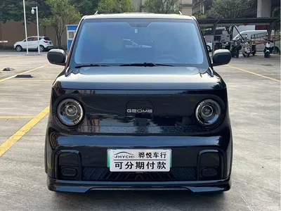 2025 Geely Galaxy Panda Model Year 210km Panda Kart, фото 1, лот 10428705