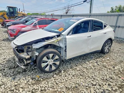 2021 TESLA MODEL Y, фото 1, лот 11185192