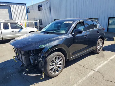 2025 MAZDA CX-5 PREMIUM PLUS, фото 1, лот 10843800