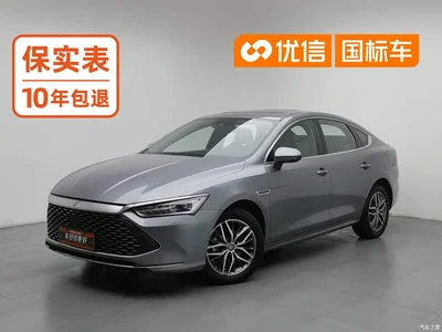 2023 BYD Qin PLUS Champion Edition DM-i 120KM Excellence, фото 1, лот 10392935