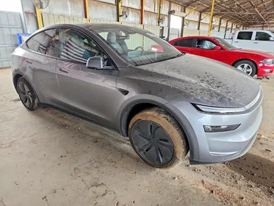 2026 TESLA MODEL Y, фото 4, лот 10855638