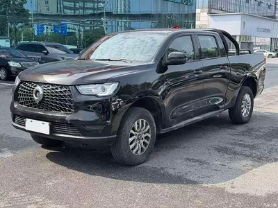 2021 Great Wall Pao 2.0T Commercial Edition Manual Diesel 2WD Elite Long Box GW4D20M, фото 1, лот 11513469