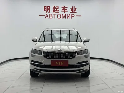 2022 Škoda Karoq TSI280 Premium Edition, фото 2, лот 10349510