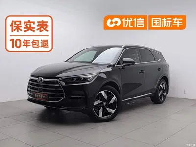 2023 BYD Tang New Energy Model DM-i Champion Edition 112KM Honor, фото 1, лот 11132513