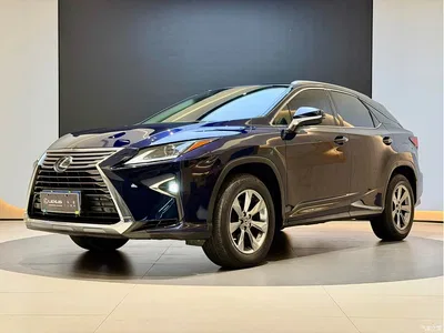 2016 Lexus RX 300 2WD Comfort Edition China V, фото 1, лот 10313544