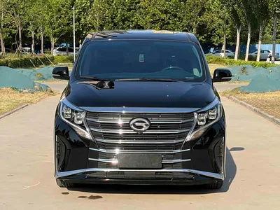 2024 GAC Trumpchi Trumpchi M8 Leadershow Series 390T Luxury Edition, фото 2, лот 11218441