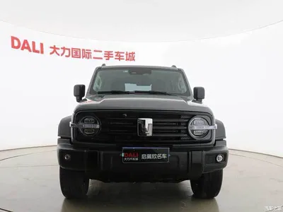 2021 Tank 300 Off-road Edition 2.0T Challenger, фото 2, лот 10518612