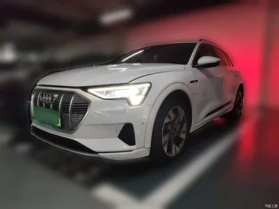 2019 Audi e-tron (Import) 55 quattro Fashion, фото 1, лот 11106718