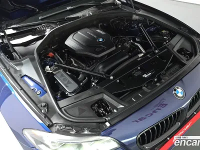 2016 BMW 5-Series 520d M Aero Dynamic, фото 4, лот 10044965