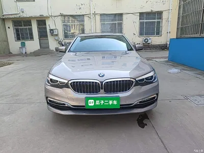 2018 BMW 5 Series 530Li Leading Luxury Package, фото 3, лот 10482677