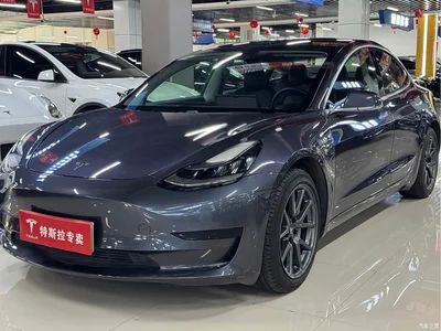 2020 Tesla Model 3 Standard Range Rear-Wheel Drive Upgrade, фото 1, лот 10351654