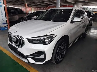 2020 BMW X1 xDrive25Li Premium Edition, фото 2, лот 11190209