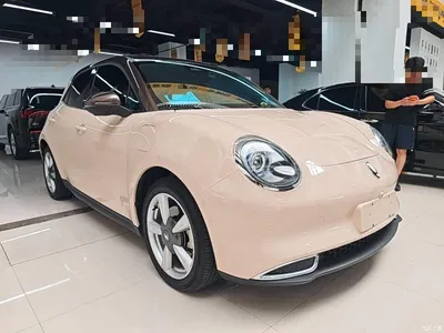 2021 Ora Good Cat 500km Long Range Poseidon Edition (NMC), фото 4, лот 10330513