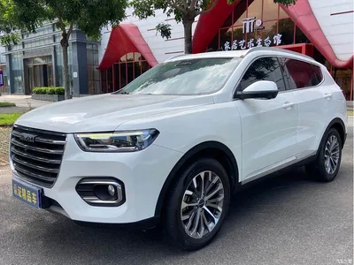 2020 Haval H6 1.5GDIT Automatic Platinum Champion Edition, фото 1, лот 10281557