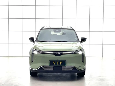 2021 Weltmeister W6 520km PRO All-round Edition, фото 2, лот 11583150