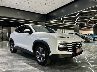 2023 Jetour Dasheng 1.5T DCT Starlight PRO, фото 3, лот 10826982