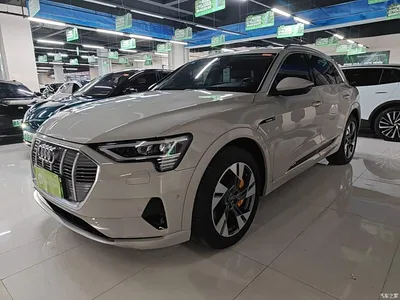 2019 Audi e-tron (Import) 55 quattro Technology, фото 2, лот 11221929