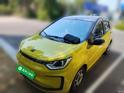2021 Sehol Flower Fairy 302km Surpass Edition 31.4kWh, фото 1, лот 11153482