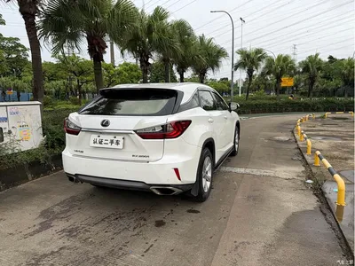 2016 Lexus RX 300 2WD Elite Edition (China V), фото 3, лот 10314366