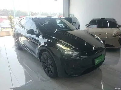 2024 Tesla Model Y Rear-Wheel Drive Version, фото 4, лот 10389711