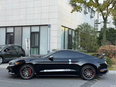 2017 Ford Mustang 2.3T Performance Edition, фото 4, лот 10297472