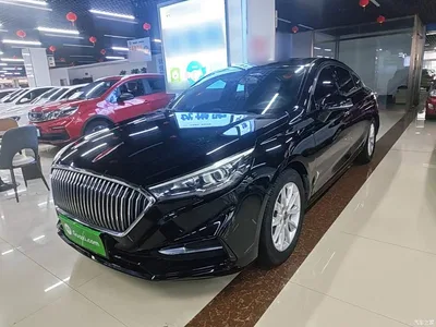 2019 Hongqi H5 30TD Style Edition, фото 1, лот 11194339