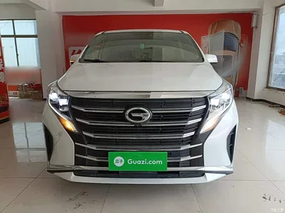 2023 GAC Trumpchi Trumpchi M8 Leading Series 390T Luxury Edition, фото 3, лот 10422583