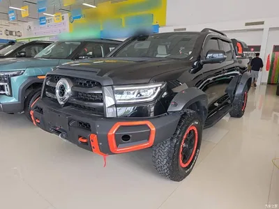2022 Great Wall Pao 2.0T Black Bullet Special Edition GW4C20B, фото 2, лот 10248898