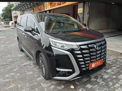 2024 Denza D9 DM-i 980 AWD Premium, фото 2, лот 11107568