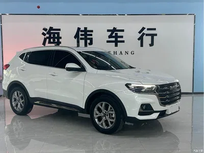 2023 Haval H6 National Trend Edition 1.5T Automatic Champion, фото 3, лот 10282199