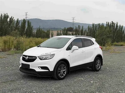 2017 Buick Encore 18T Automatic 2WD Urban Leading, фото 1, лот 11228801