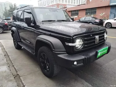 2021 Tank 300 Off-road Version 2.0T Conqueror, фото 4, лот 11181797
