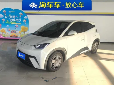 2024 BYD Seagull Glory Edition 305km Vitality Edition, фото 1, лот 10247253