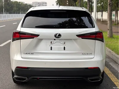 2018 Lexus NX Model 300 FWD Fengxing Edition, фото 4, лот 10889481