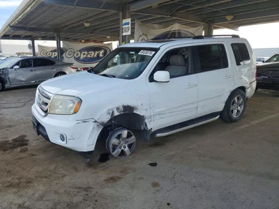 2009 HONDA PILOT EXL, фото 1, лот 10723647