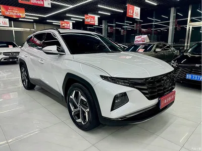 2023 Hyundai Tucson L 1.5T Automatic 2WD DLX Luxury Edition, фото 3, лот 11357768