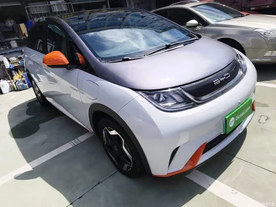 2021 BYD Dolphin Model 405km Fashion Edition, фото 4, лот 10259425